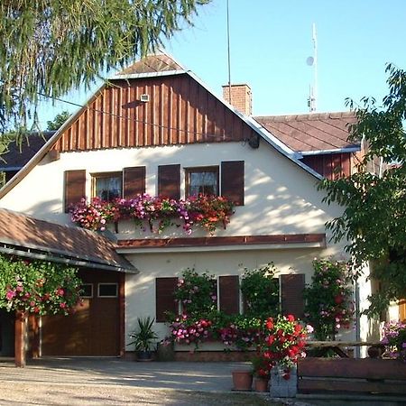 Pension Ivanka Jestrabi V Krkonosich Dış mekan fotoğraf